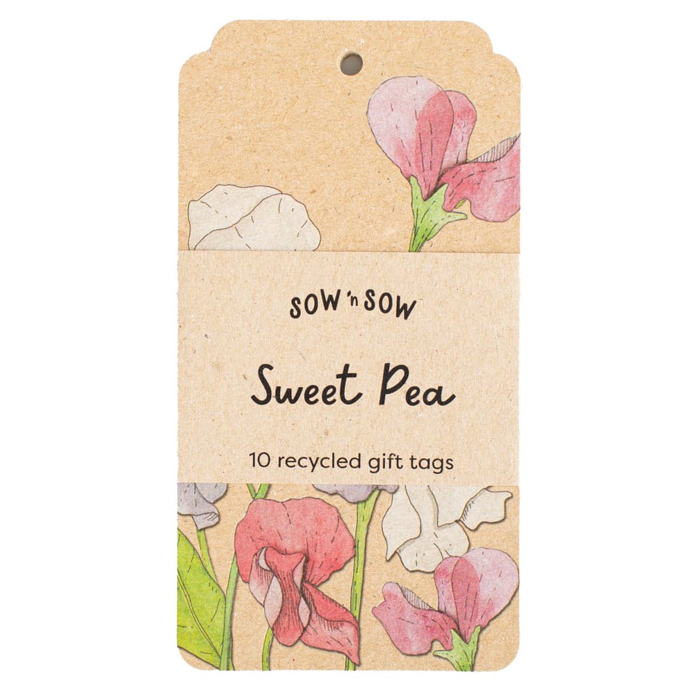 Sweet Pea Gift Tag 10 Pack image 0