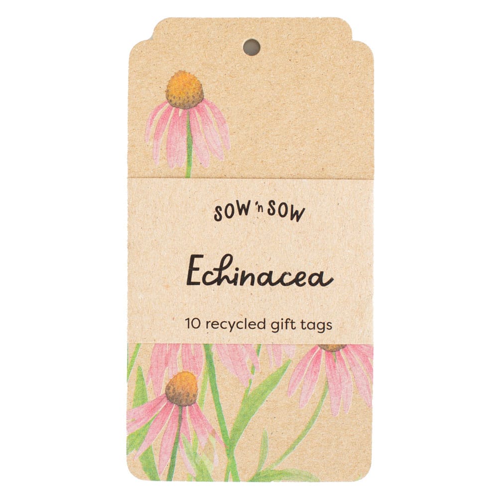 Echinacea Gift Tag 10 Pack image 0