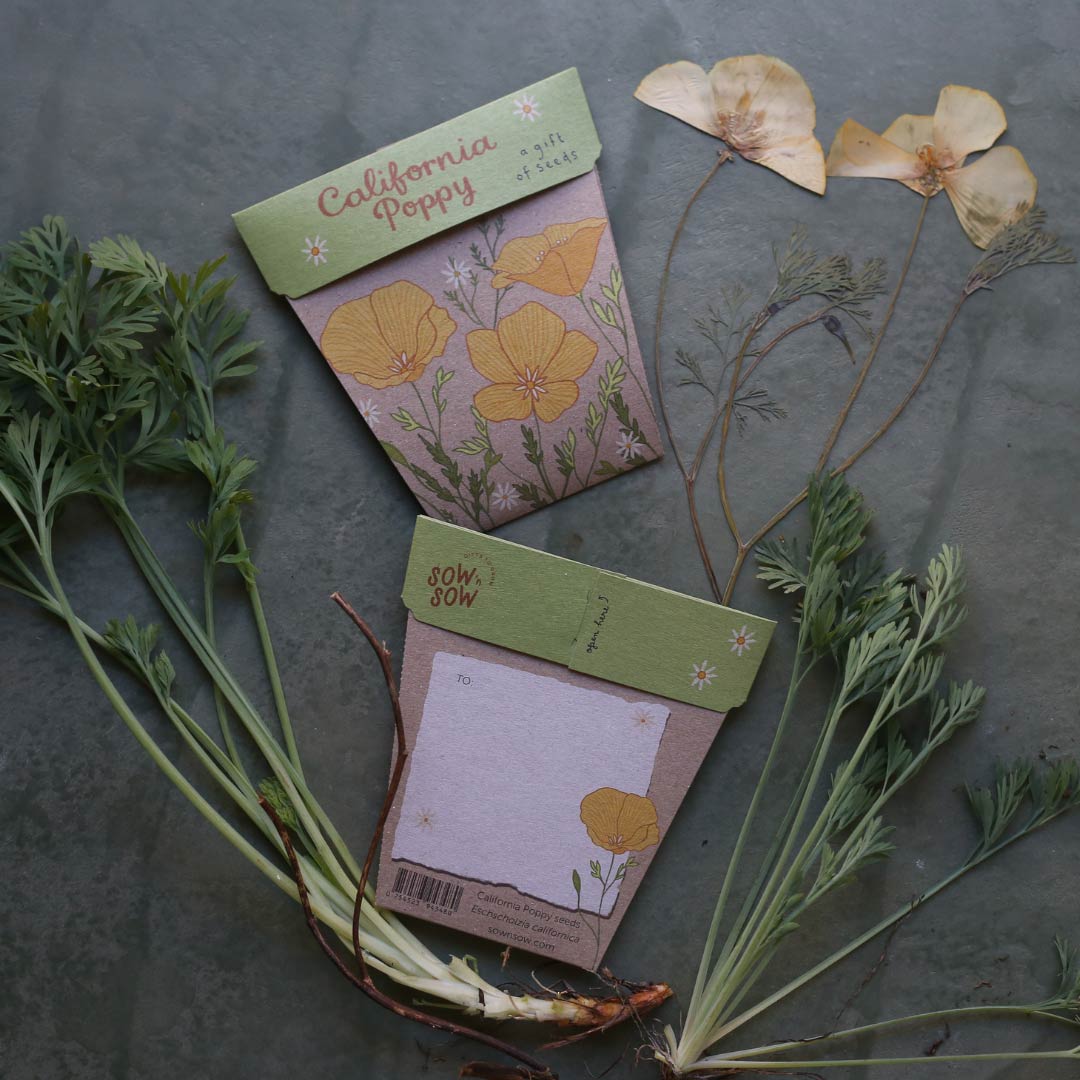 California Poppy Gift of Seeds image 3