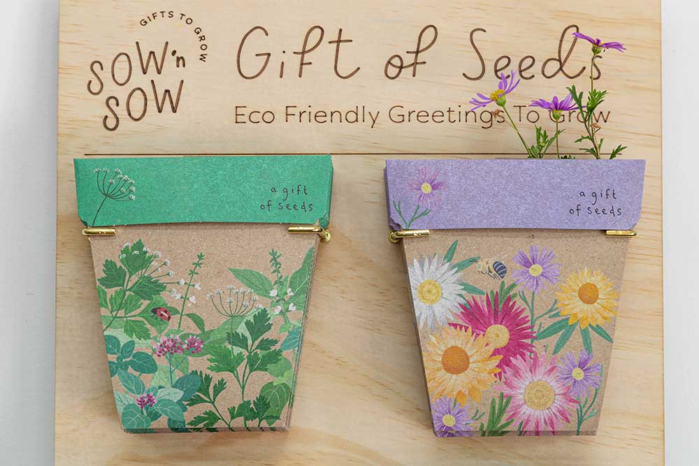 Garden Herbs Gift of Seeds image 6