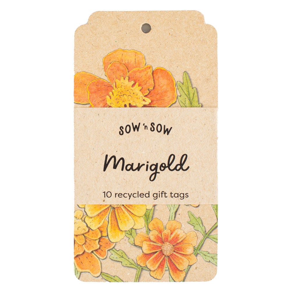 Marigold Gift Tag - 10 Pack image 0