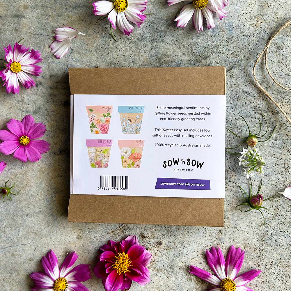 Sweet Posy Seed Gift Set image 1