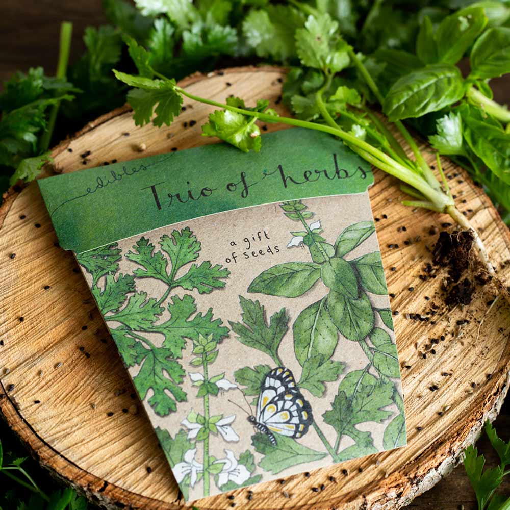 Trio of Herbs Gift of Seeds image 3