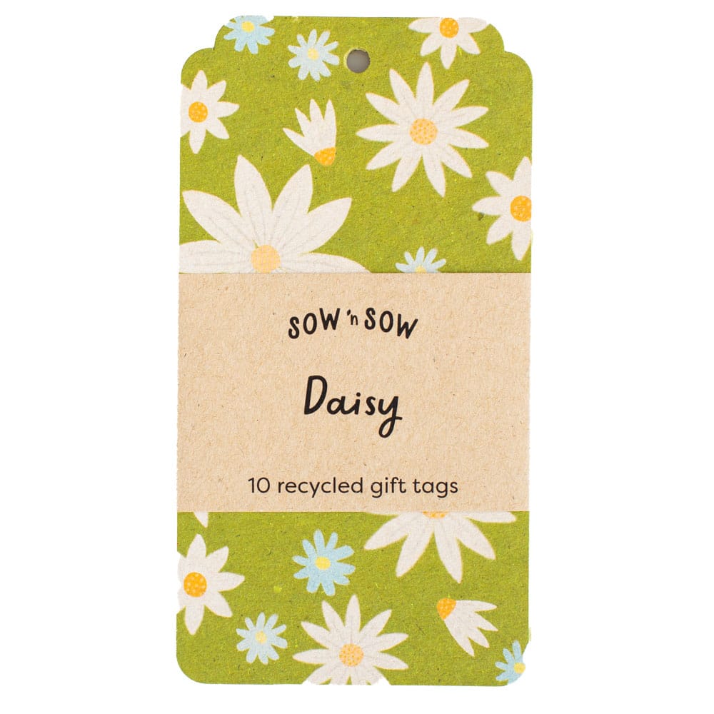 Daisy Gift Tag 10 Pack image 0