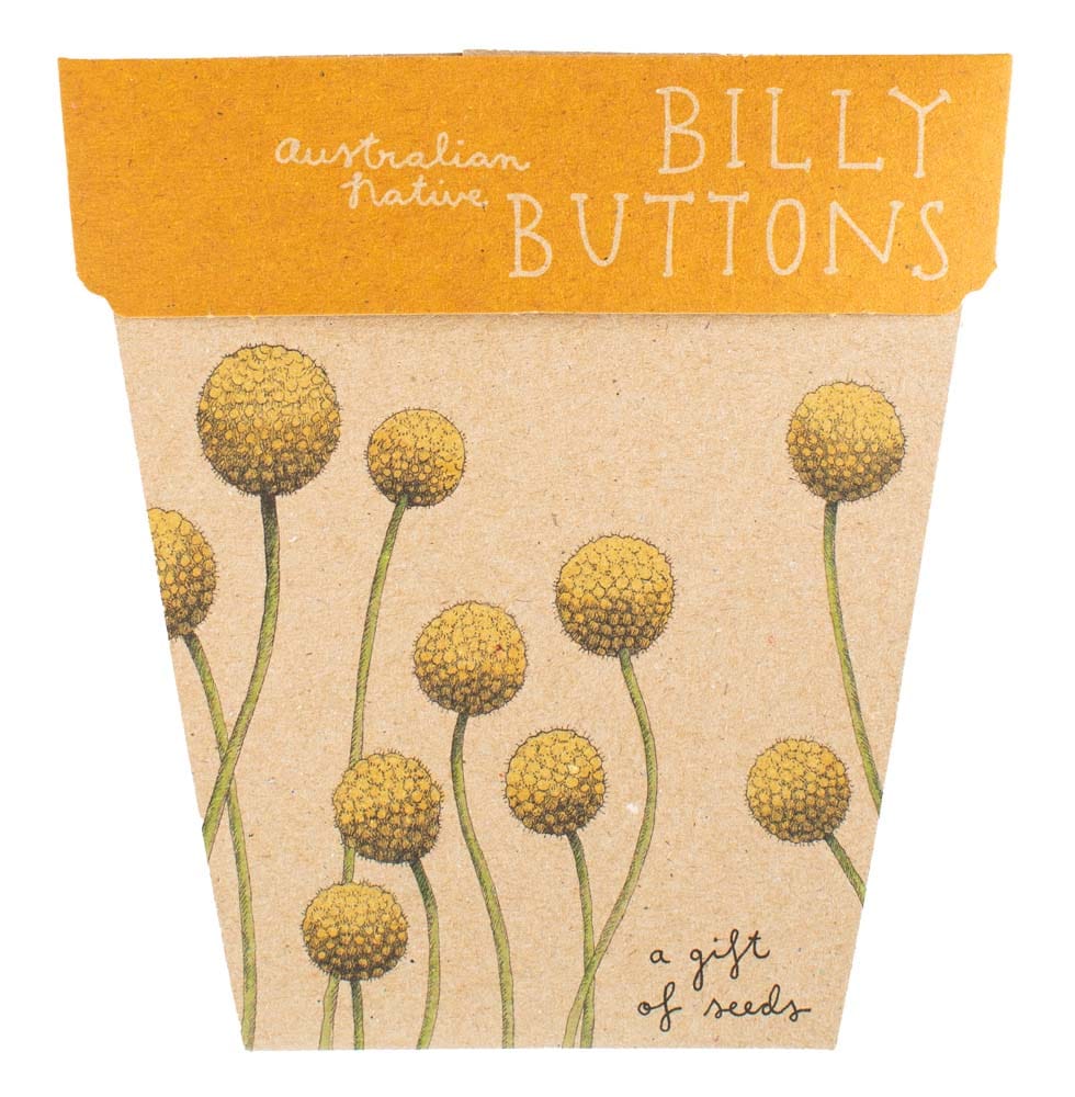Billy Buttons Gift of Seeds image 0