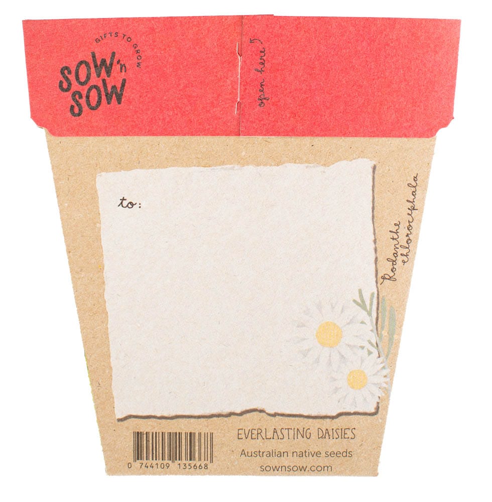 Australian Christmas Gift of Seeds Bulk Buy Pack of 50 image 2