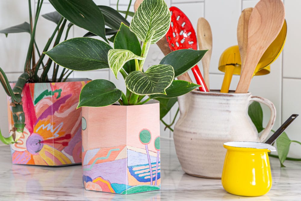 Pop Up Pot 'Yonder' Small (ws) image 4