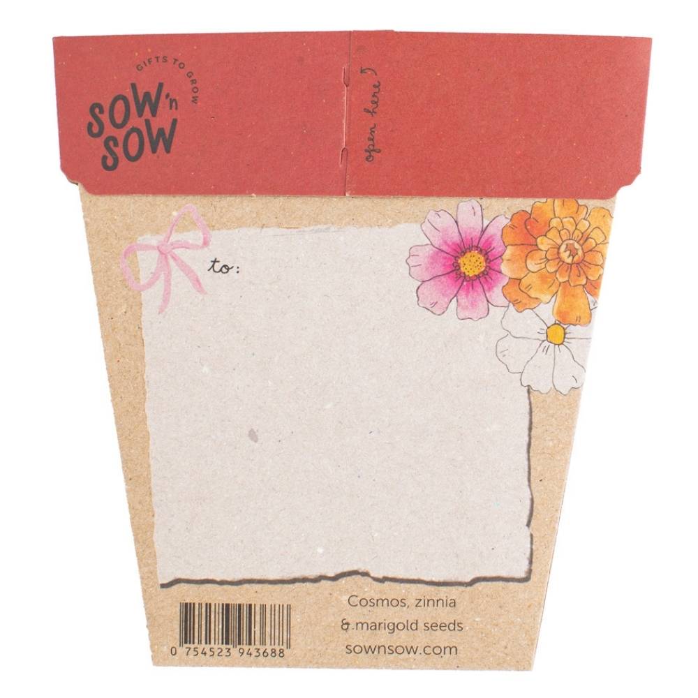 Christmas Blooms Gift of Seeds Bulk Buy Pack of 50 image 2