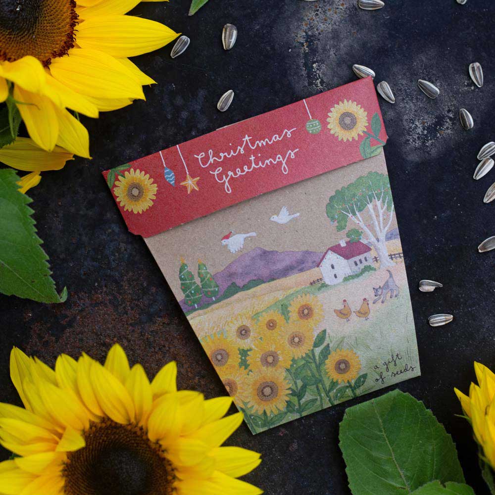 Christmas Sunflower Gift of Seeds image 3