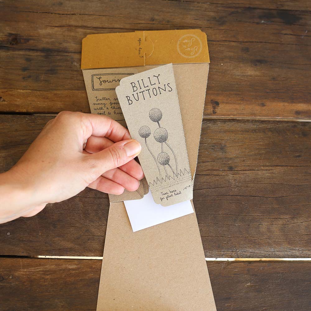 Billy Buttons Gift of Seeds image 3