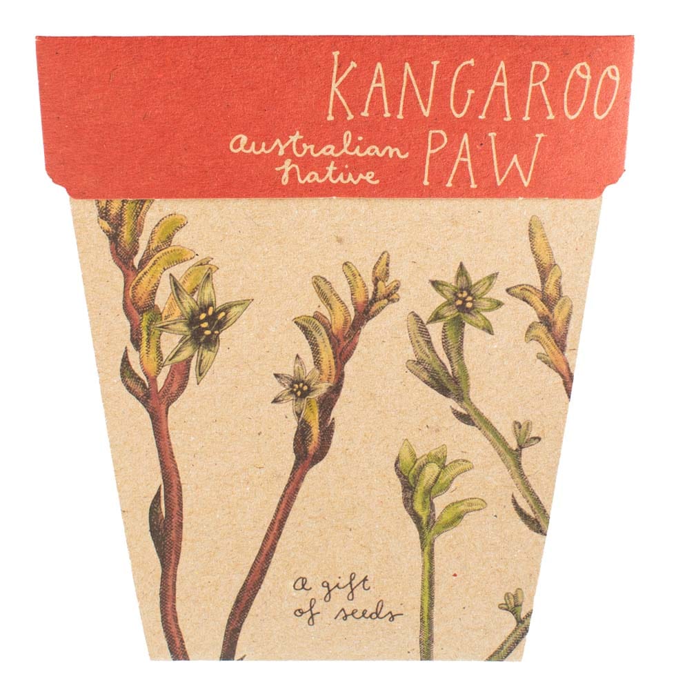 50 Gift of Seed Packs Bulk Buy - Kangaroo Paw image