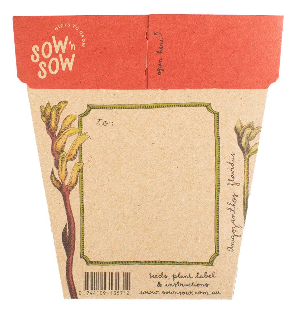 Australian Native Seed Gift Set image 8