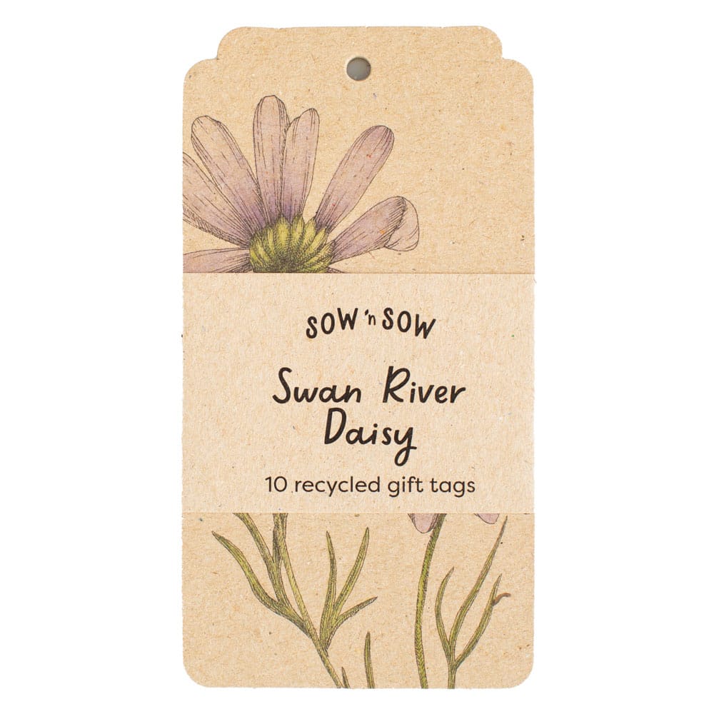 Swan River Daisy Gift Tag 10 Pack image 0