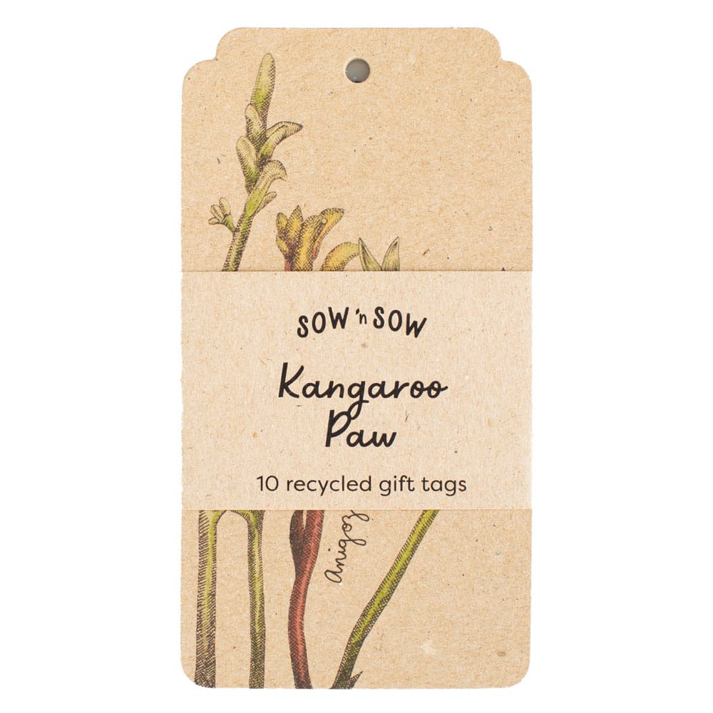 Kangaroo Paw Gift Tag 10 Pack image 0