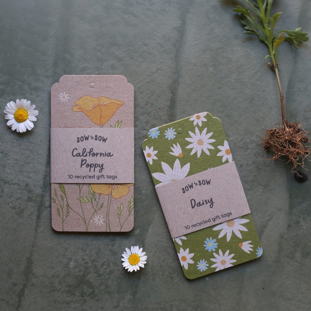 California Poppy Gift Tag 10 Pack image 4
