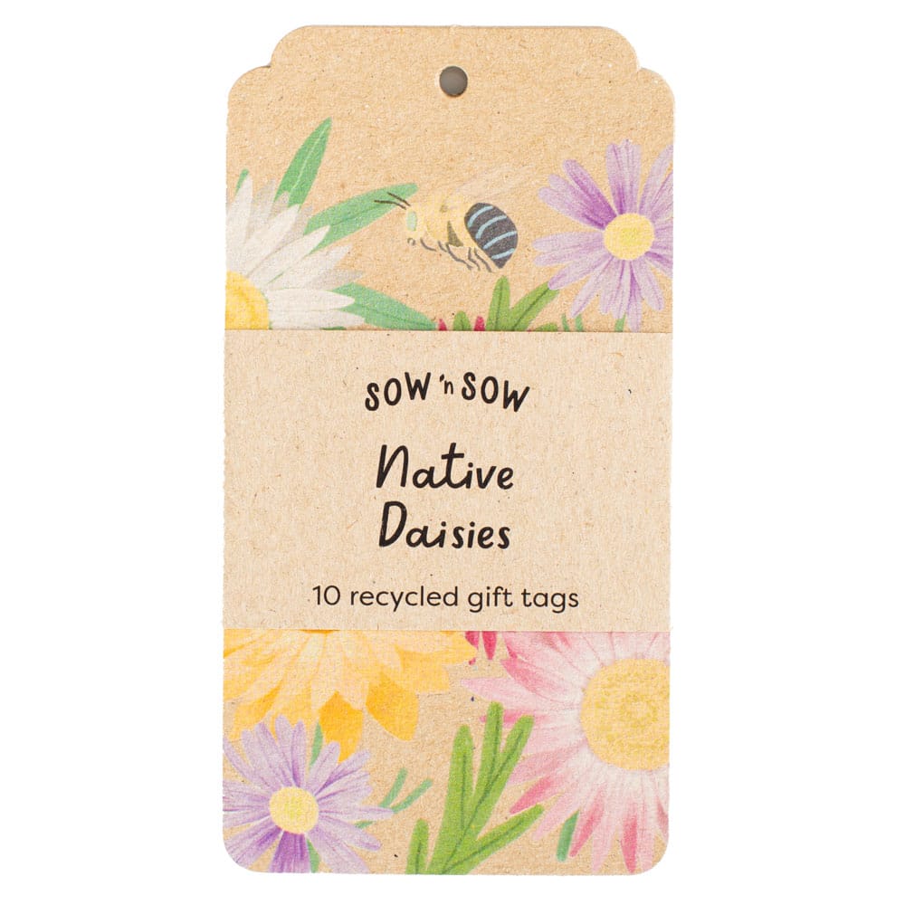 Native Daisies Gift Tag 10 Pack image 0