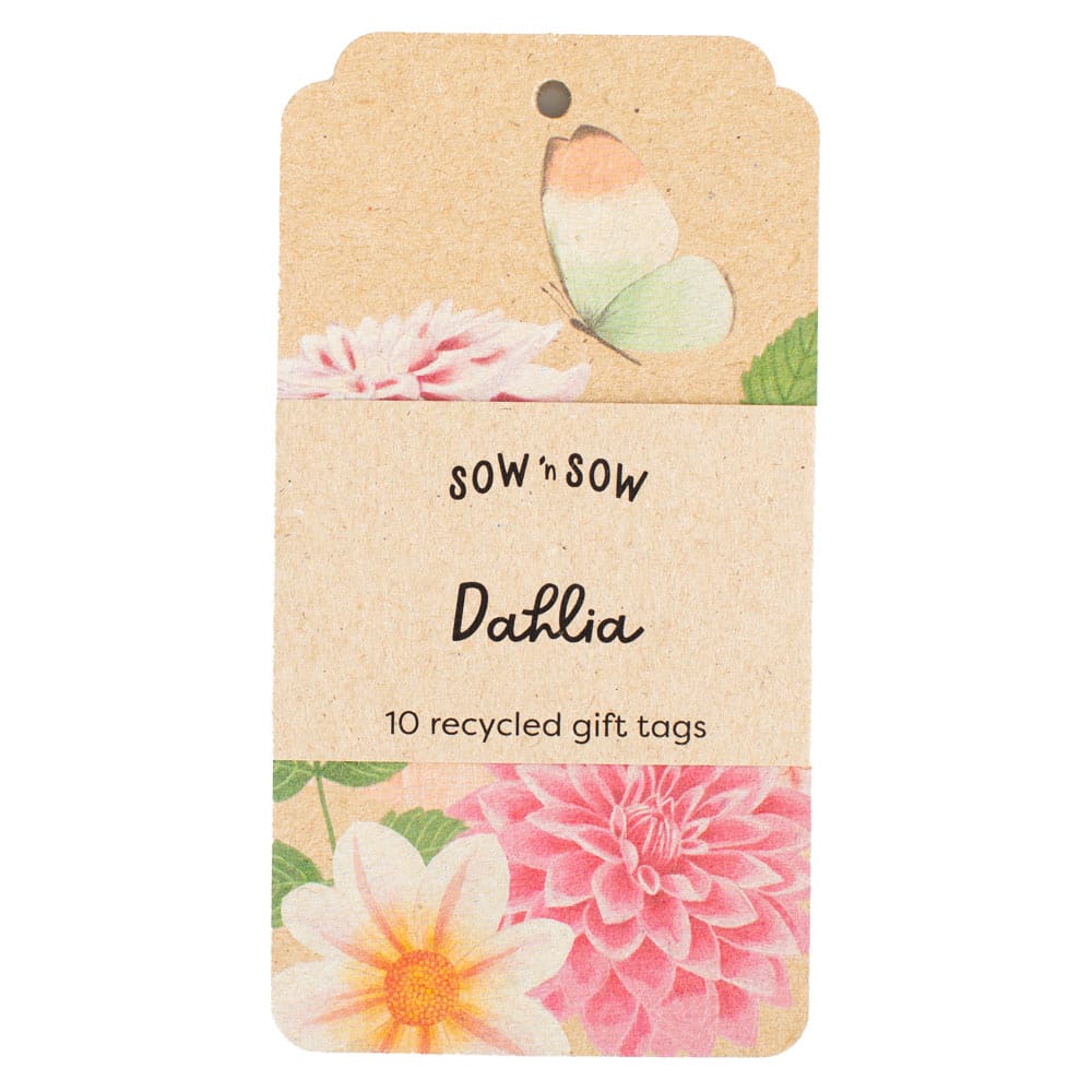 Dahlia Gift Tag 10 Pack image 0