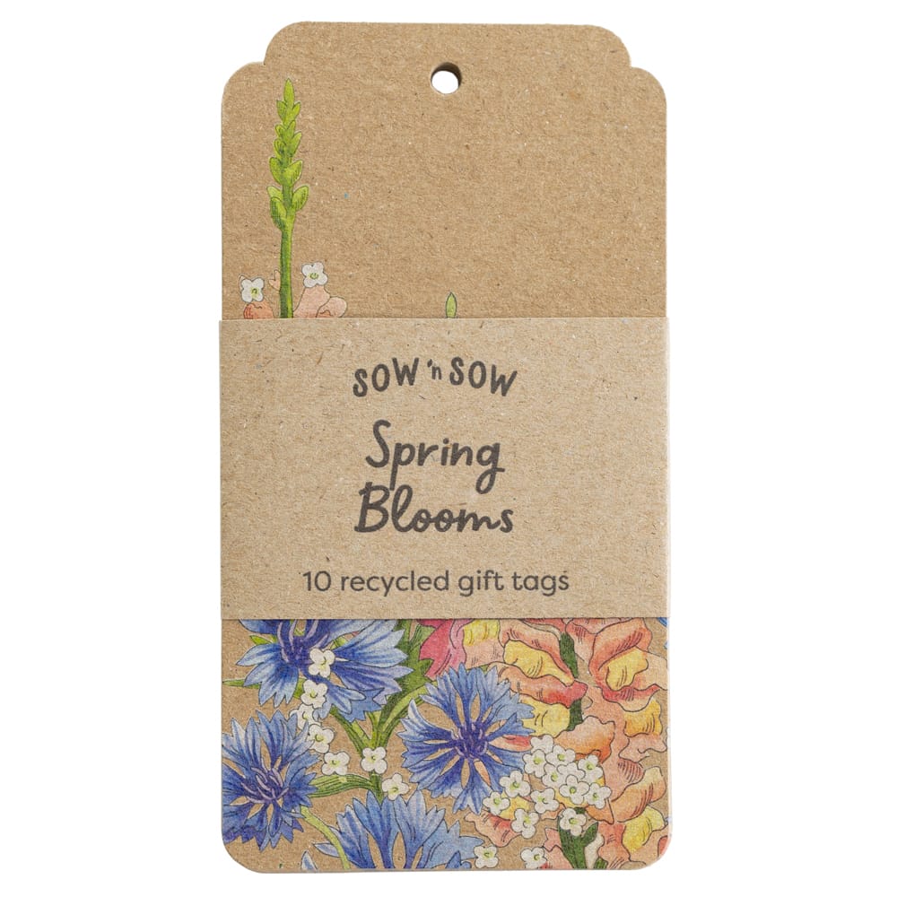 Any 6 Recycled Gift Tag Packs image 9