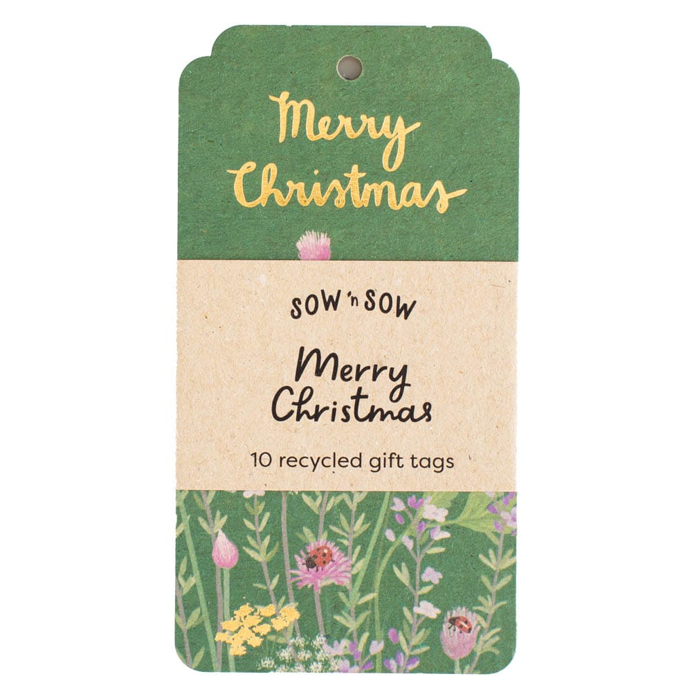 Merry Christmas Gift Tag 10 Pack image 0
