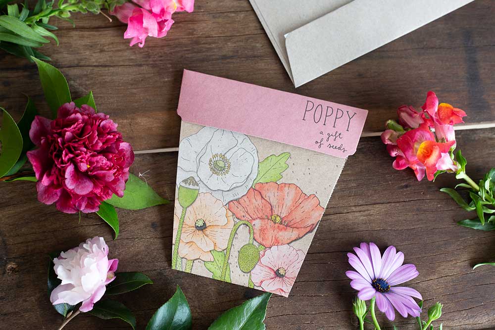 Poppy Gift of Seeds image 6
