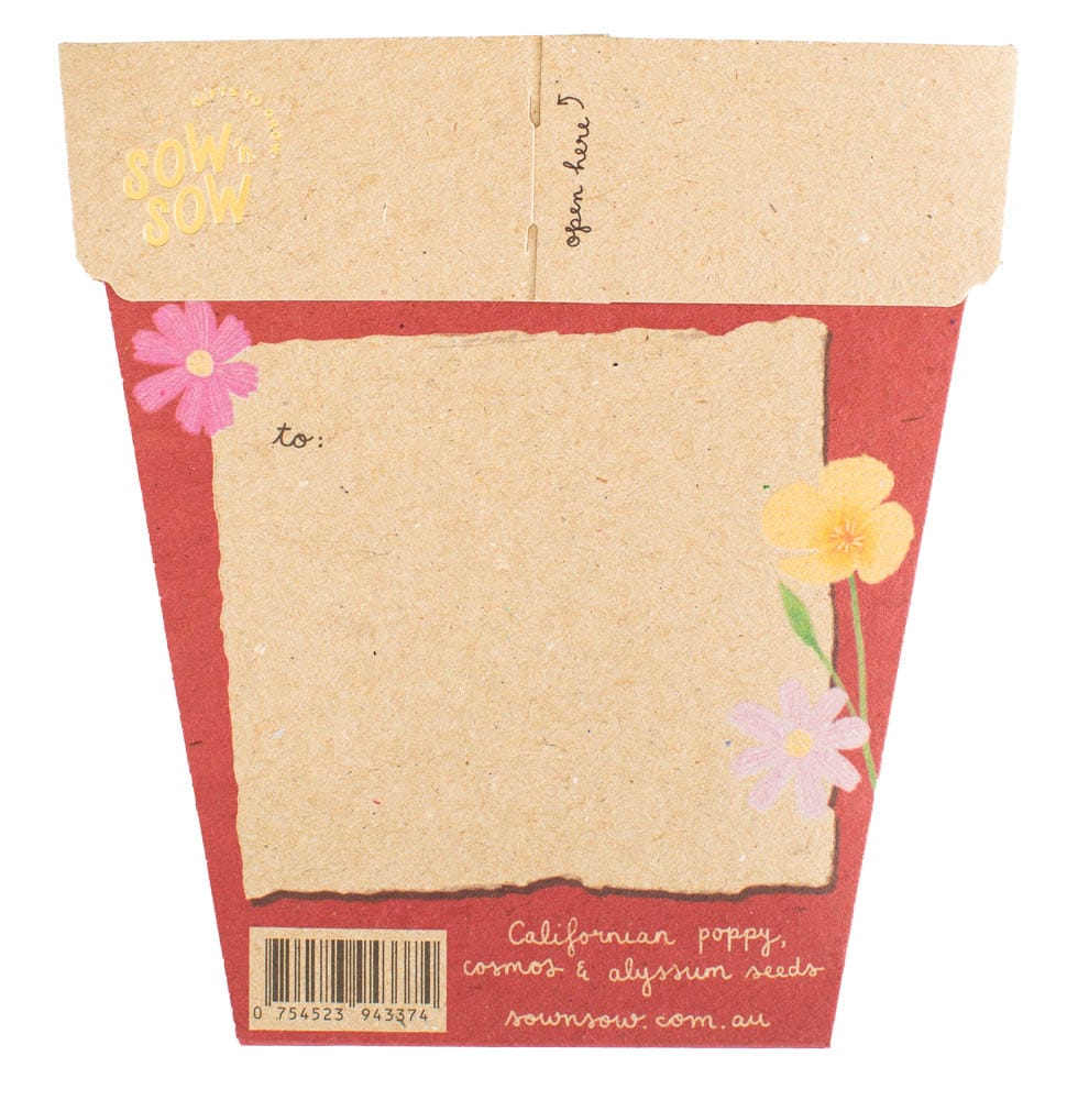 Christmas Wildflowers Gift of Seeds SOLD OUT image 1