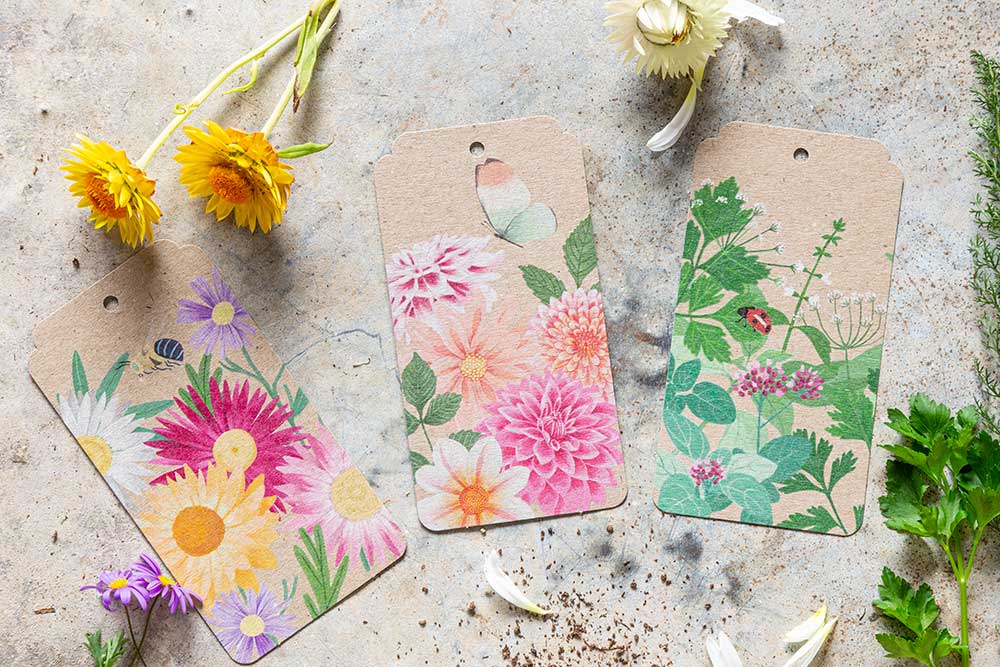 Dahlia Gift Tag 10 Pack image 2