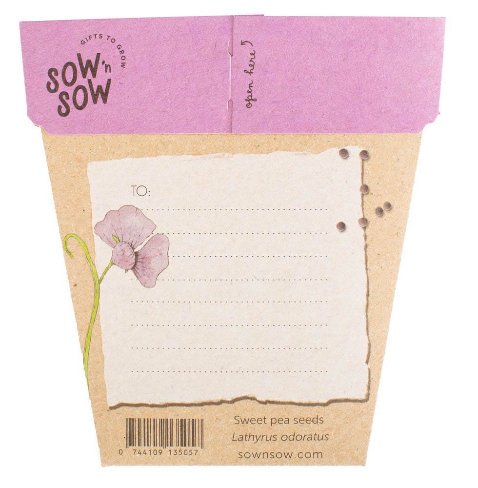 Sweet Posy Seed Gift Set image 5
