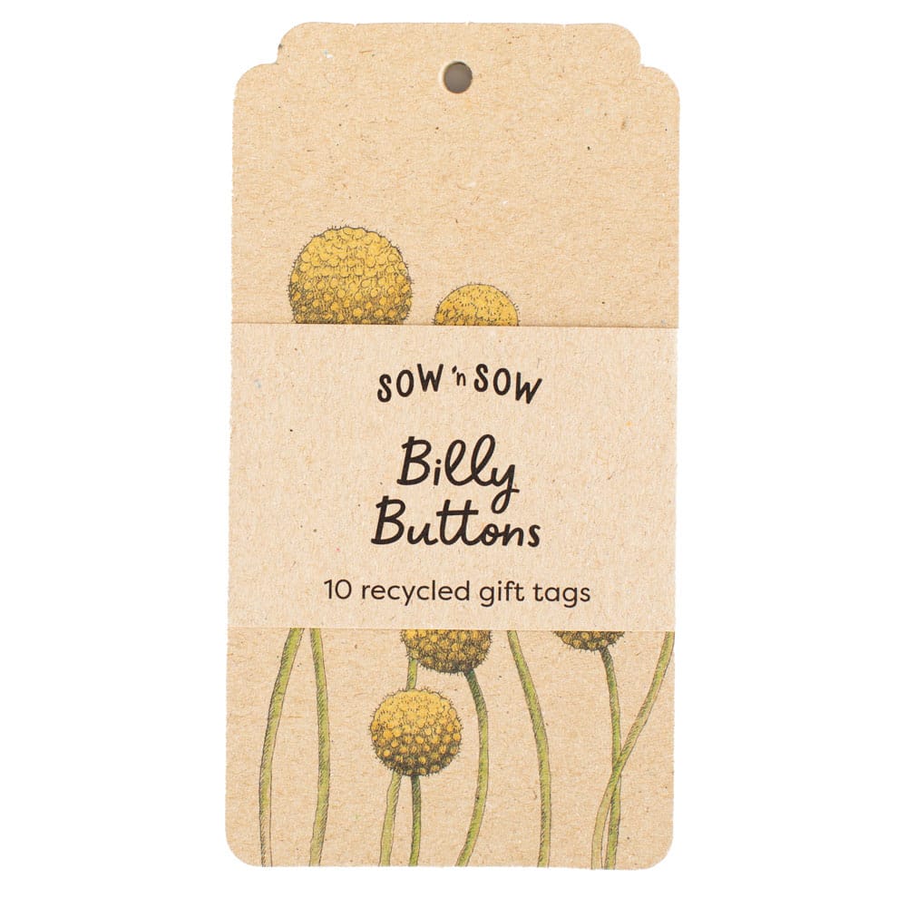 Billy Buttons Gift Tag 10 Pack image 0