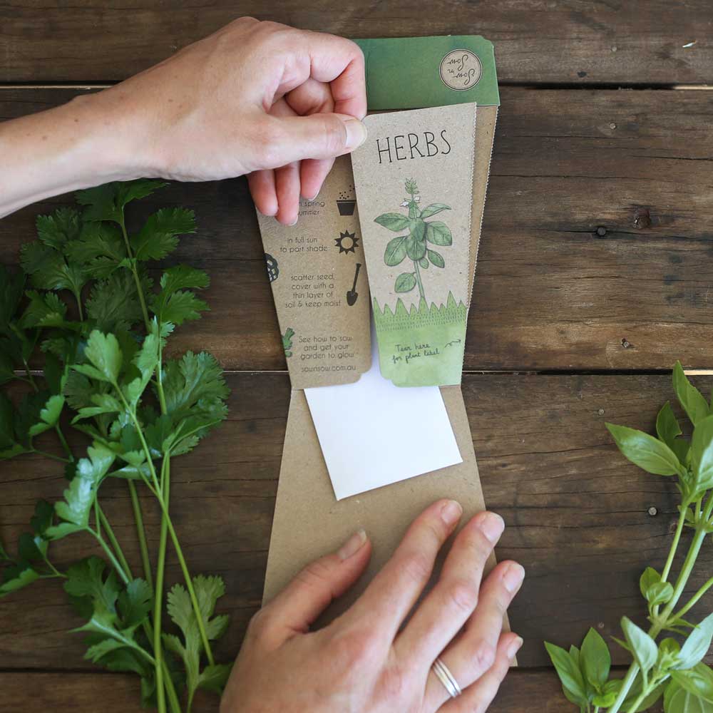 Trio of Herbs Gift of Seeds image 5