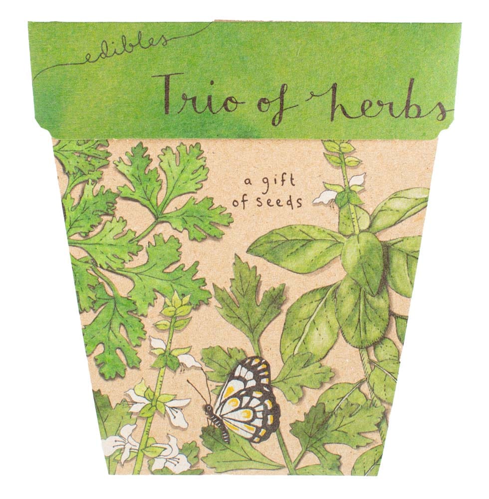 50 Gift of Seed Packs Bulk Buy image 5