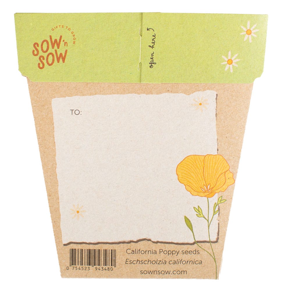 California Poppy Gift of Seeds Bulk Buy Pack of 50 image 2