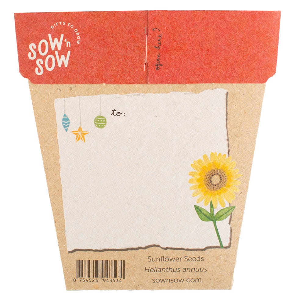Christmas Gift of Seeds Bundle image 6