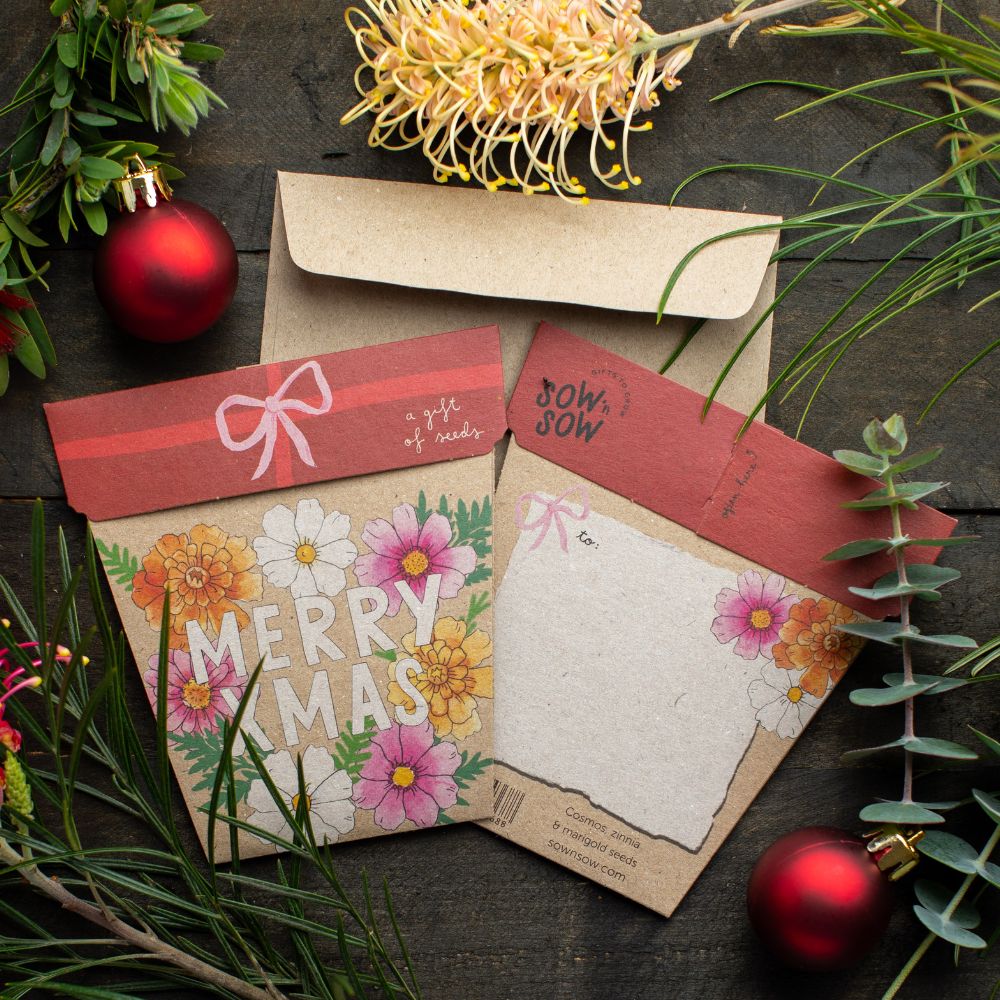 Christmas Gift of Seeds Boxed Set of 4 image 10