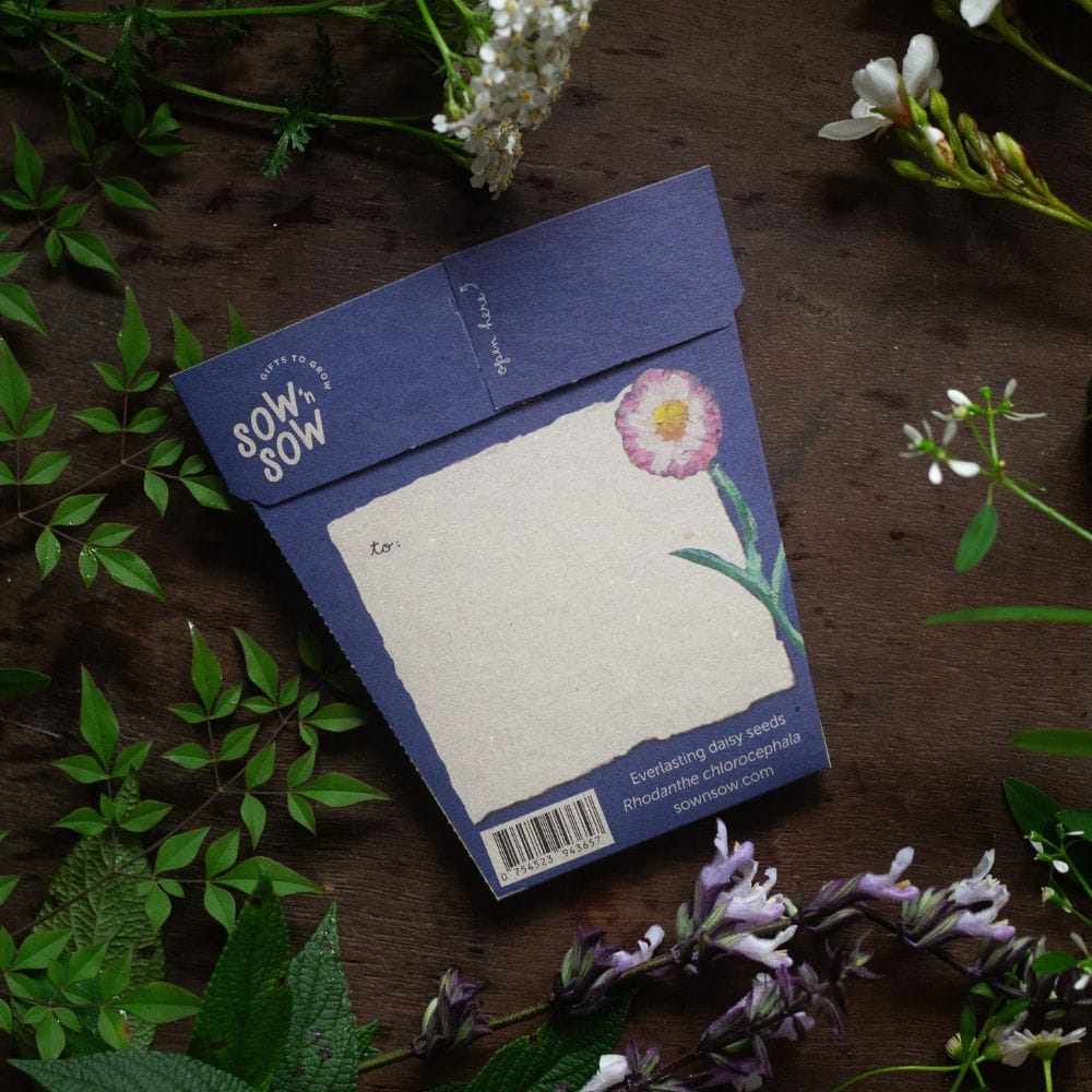 With Sympathy Gift of Seeds image 3
