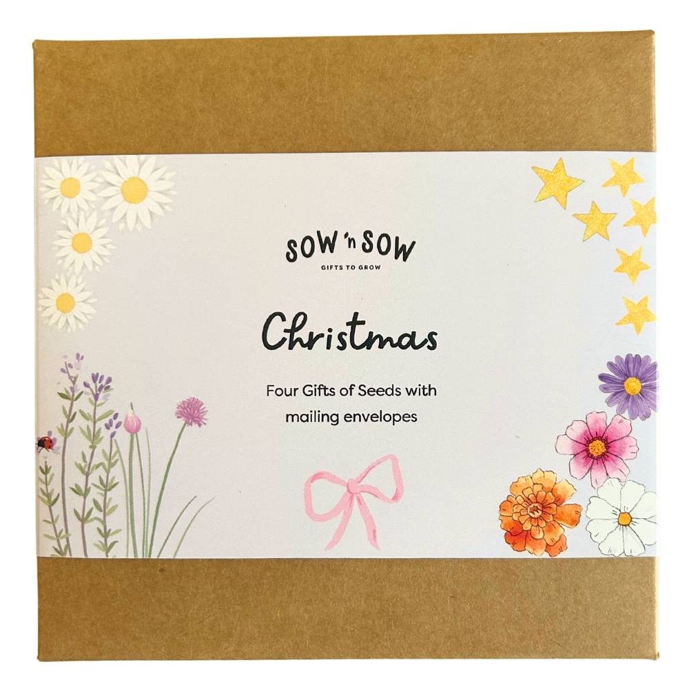 Christmas Gift of Seeds Boxed Set of 4 image 11