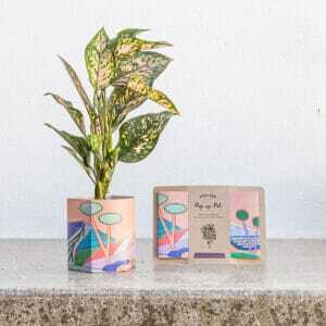 Pop Up Pot 'Yonder' Small - SOLD OUT