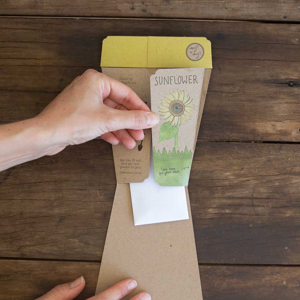 Sunflower Gift of Seeds - Image 3