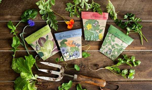 Order in time for Christmas