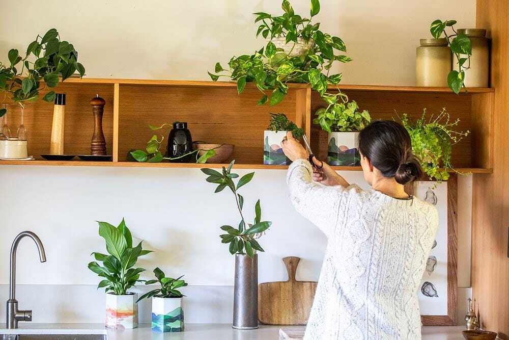 Pop Up Pot 'Mountain' - Image 7