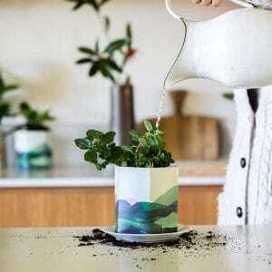 Pop Up Pot 'Mountain'