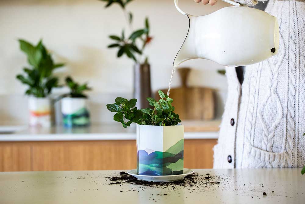 Pop Up Pot 'Mountain'