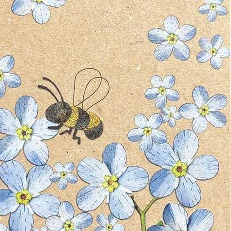 Forget-me-not Gift Tag 10 Pack - Image 4