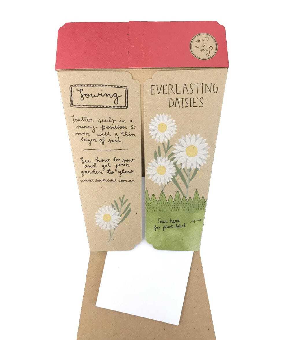 Australian Christmas Seeds Set of 4 SOLD OUT - Image 4