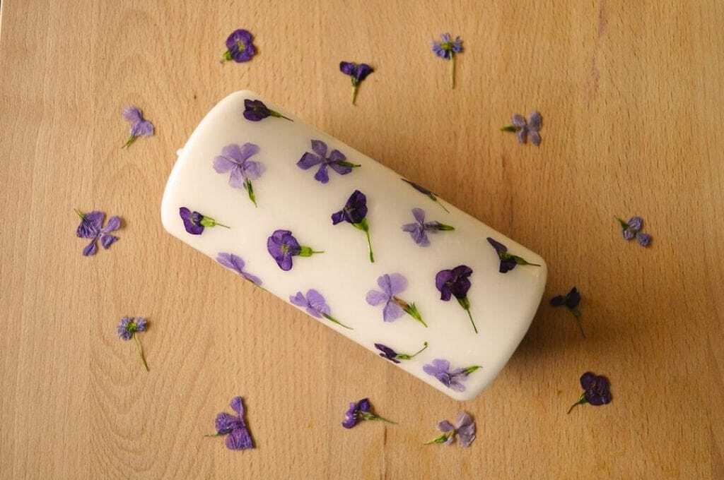 15 pressed flower crafts and activities for kids