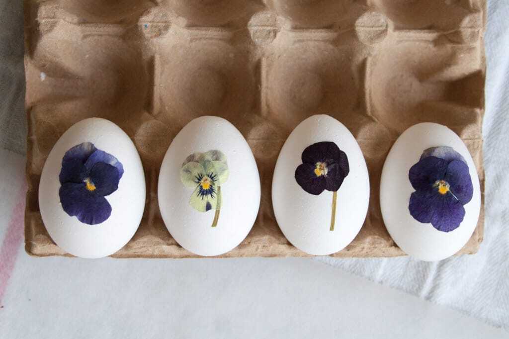 15 pressed flower crafts and activities for kids