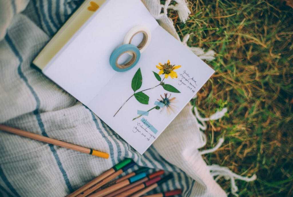 15 pressed flower crafts and activities for kids - pressed flower nature journal
