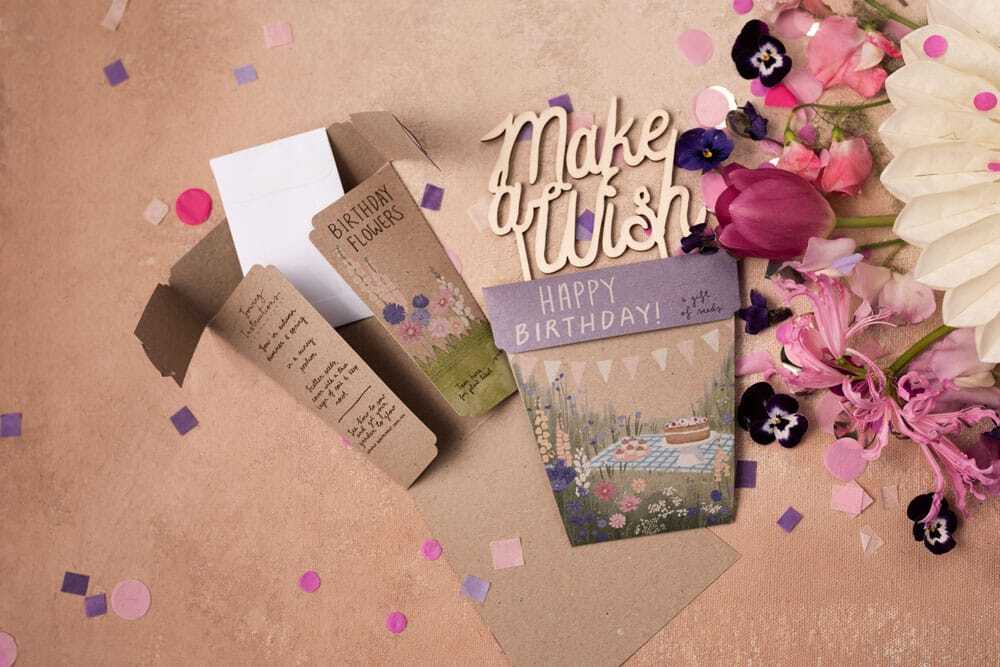 Happy Birthday Picnic Gift of Seeds - Image 4