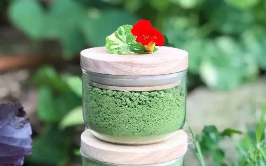 10 unbelievable ways to cook with nasturtiums 