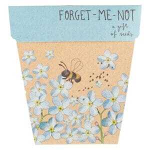 Forget-me-not