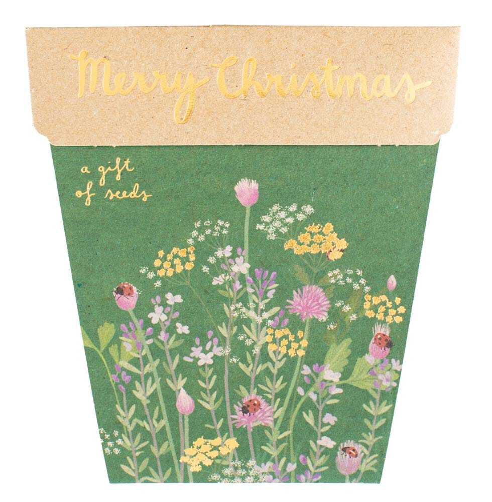 Christmas Herbs Gift of Seeds SOLD OUT